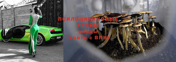 прущие крисы Алзамай